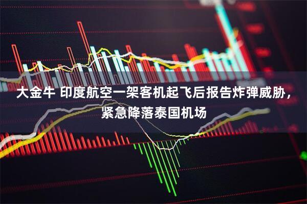 大金牛 印度航空一架客机起飞后报告炸弹威胁，紧急降落泰国机场