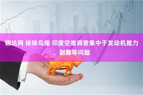锦达网 排除鸟撞 印度空难调查集中于发动机推力、副翼等问题