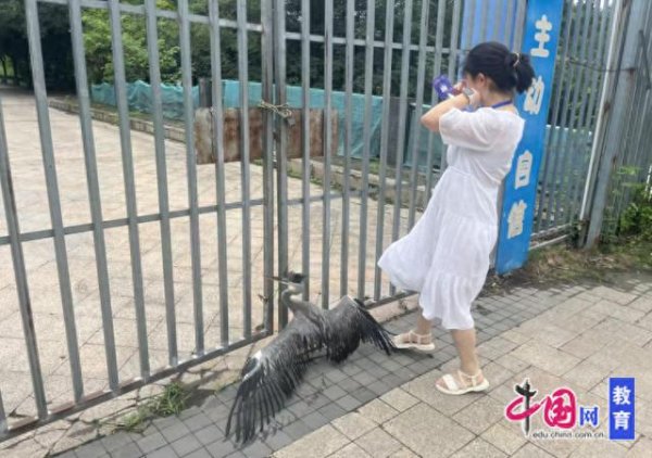恒富配资 暴雨中的守护，人与自然和谐共生的温暖实践