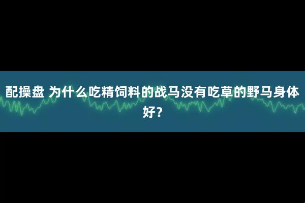 配操盘 为什么吃精饲料的战马没有吃草的野马身体好？