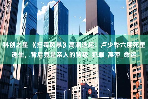 科创之星 《扫毒风暴》高潮迭起！卢少骅六度死里逃生，背后竟是亲人的背叛_犯罪_燕萍_命运