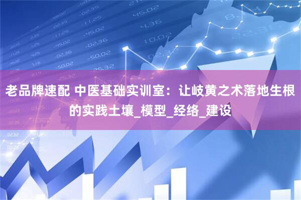 老品牌速配 中医基础实训室：让岐黄之术落地生根的实践土壤_模型_经络_建设