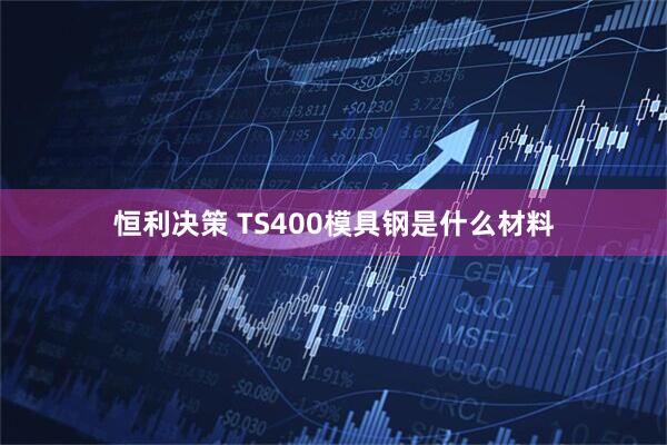 恒利决策 TS400模具钢是什么材料